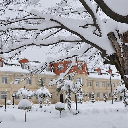 Vilesh Palace Hotel Masallı Esterno foto