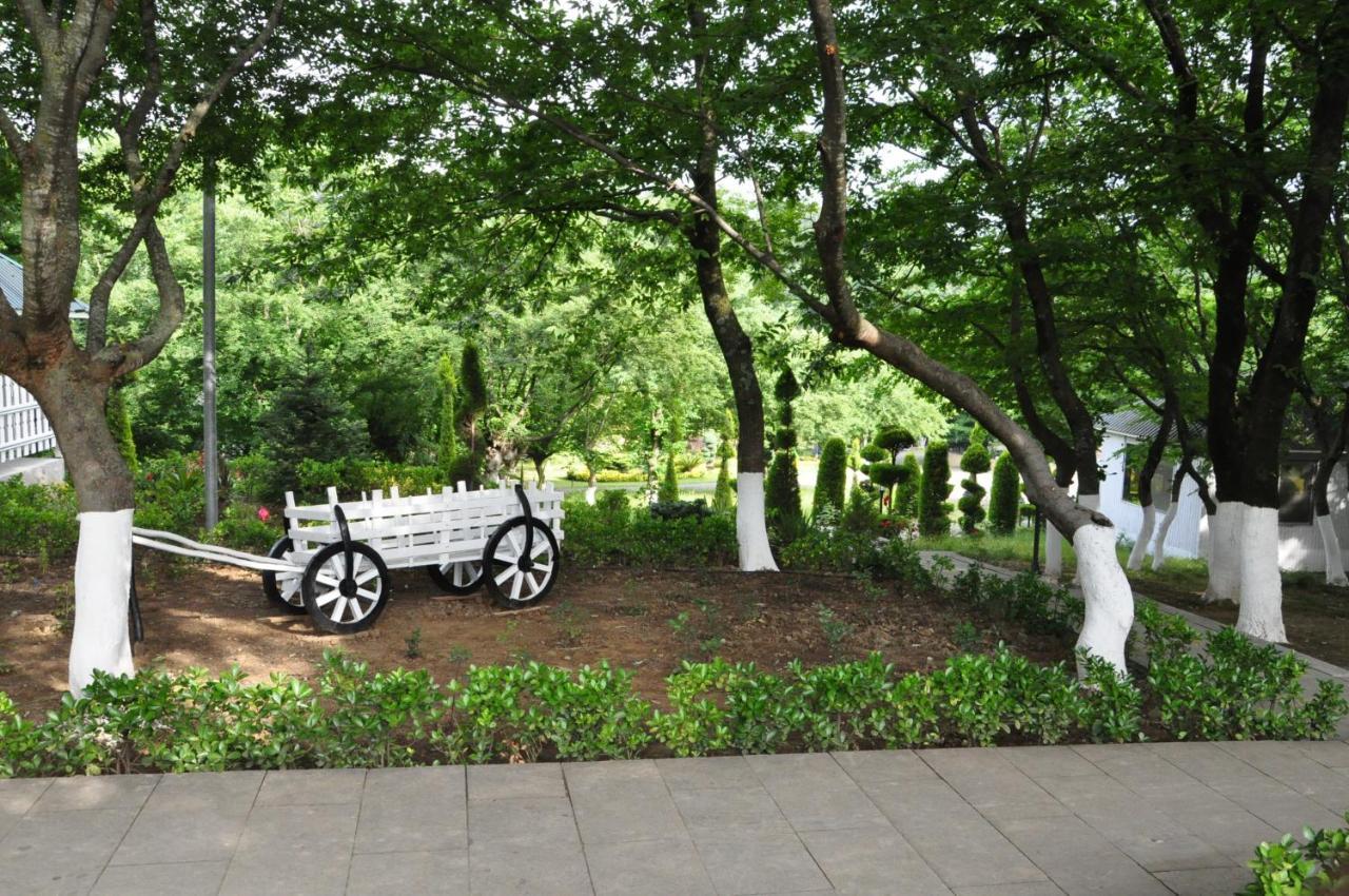 Vilesh Palace Hotel Masallı Esterno foto