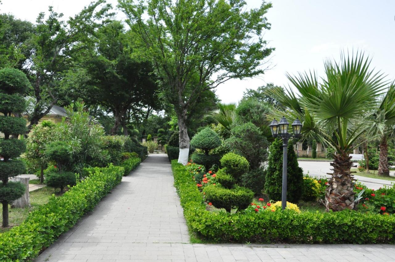 Vilesh Palace Hotel Masallı Esterno foto